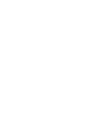 stomach.png