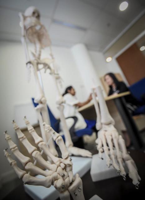 Physiotherapy